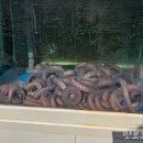푸짐한산곰장어 - 사상구 사상로277번길 26 | 푸짐한산곰장어