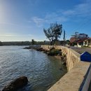 코히마르 이미지