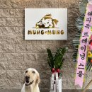 멍바이멍 반려견 유치원 이미지