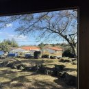 금능이모네 | 제주도 조천맛집 조천보말죽 맛집 조천아침식사 맛집 금능이모네 내돈내산 후기 +주차, 웨이팅