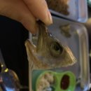 천냥노가리 이미지