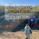 에코농장 | 겨울인데 이렇게 푸르다고? 아이와 함께 한 제주 에코랜드 후기, 할인 총정리