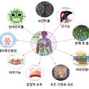 한방의과학연구소(주)