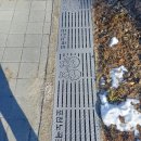 포천노곡초등학교 이미지