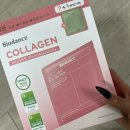 올리브영(복합) | 바이오던스 콜라겐팩 노정의님 픽 마스크팩 올리브영 내돈내산 후기