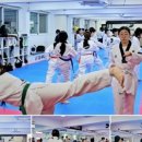 VIP태권도 네이버블로그