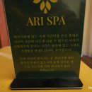 아리투어