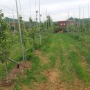 둘레길 펜션 이미지