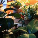 해남황태전문점 이미지