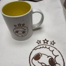 다온펫 | 2025 엑조틱 펫테일 게코 분양 및 전시 행사 경매 참여 및 입양 후기