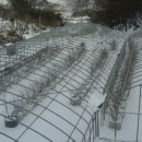 섬진농장 이미지