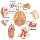 ※※몸 마음 살리는 최고의 운동 춤 1단계 실내맞춤 운동법 운동하면 목, 등 통증 줄어들 수 있다. 이미지