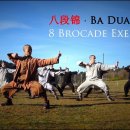 八段锦(팔단금) · Ba Duan Jin (8 Brocade Exercise) Qi Gong 이미지