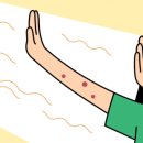 태광메디칼 이미지