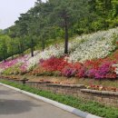 솔향수목원(전시온실) 이미지