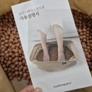 에코넥스 | 모션스페이스 한토볼 후기/황토볼/집에서 맨발걷기