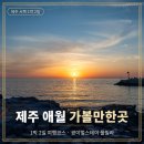 소금빌레 | 제주 애월 가볼만한곳 여행코스 광이멀스테이 풀빌라