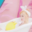 마르멜로 이미지