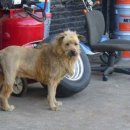 우리동네카센타 이미지