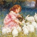 신 달토끼 이미지