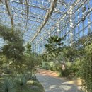 일월수목원전시온실 | 수원 일월수목원 : 겨울 실내 전시온실 4살 아기랑 방문후기