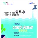 상록수 이미지