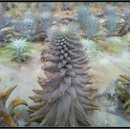 거창-신원-5 이미지