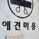 우진동물병원 이미지