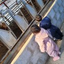 소원농장 이미지