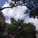 은비세탁소 이미지