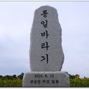 연천 호로고루성 해바라기 이미지