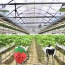 원당리농장 이미지