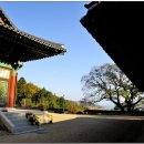 여수가람
