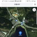 산동성왕손짜장 이미지