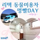 멍빨DAY 네이버블로그