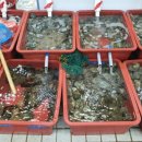 별헤는 바다민박 이미지