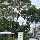 오펫 | 청주 운천동 카페 오펫 에그타르트맛집