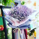 항가울로 이미지