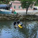 팔현리163 이미지