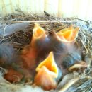 둥지농원 이미지