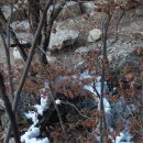 차돌배기로 주변 | 1구간 [도래기재~구룡산(인증)~고직령~곰넘이재~신선봉(인증)~차돌배기~애당리] 등산 후기(2020. 12. 12.)