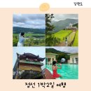 정선펜션 1박2일 | 여름 정선 여행 코스 강원도 1박2일 여행 추천 7월 8월