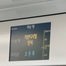 [전시회] 장 줄리앙의 종이세상 (PAPER SOCIETY)