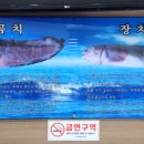 신동해바다 이미지