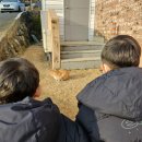 거제블루스카이 이미지