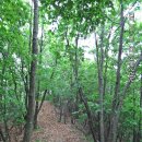 옛 나루터 길 이름과는 달리 산숲길이 많은 여강길 1코스 탐방(여강길 전 코스 마무리) 이미지