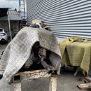 1급광영종합정비 이미지