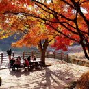 밸리댄스(야간) 이미지