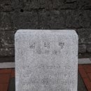 목련차관