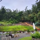 진커피숲 이미지